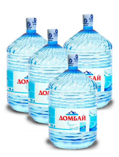 4 бутыли воды Домбай в одноразовой таре